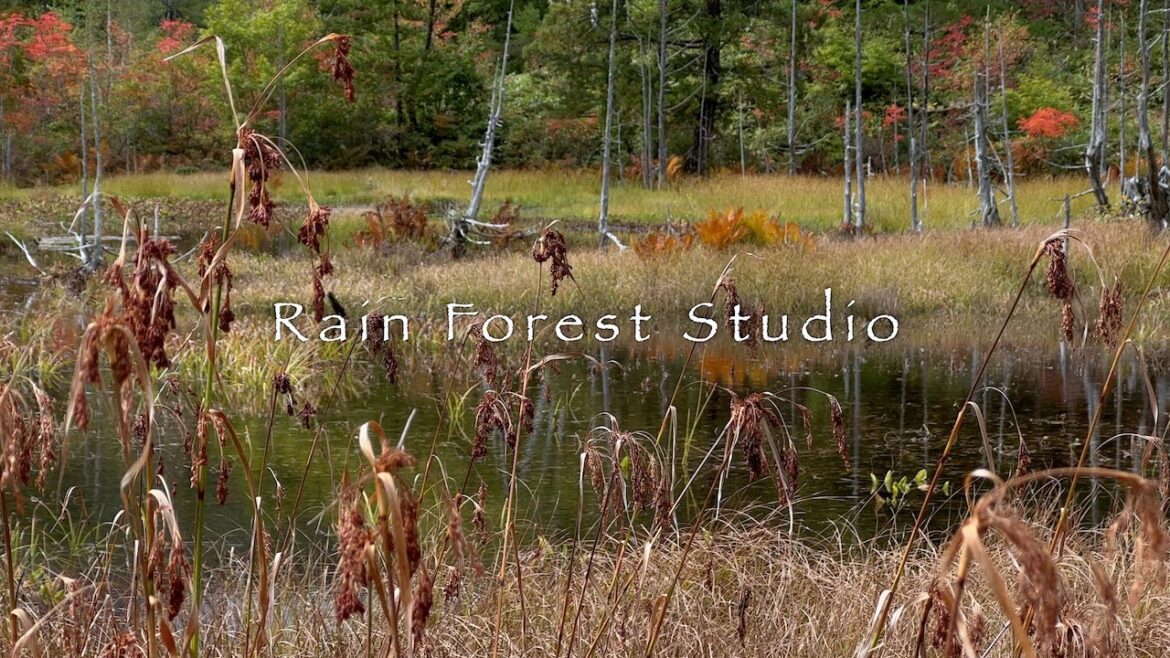 Autumn in Norikura Kogen Highland [4K]