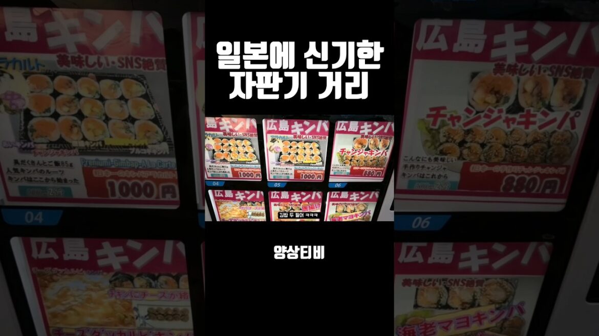 일본 히로시마 자판기 거리 ㄷㄷㄷ #일본여행 #히로시마 #일본자판기