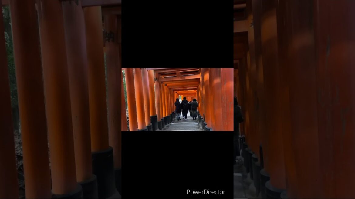【KYOTO】Bucket List Destination in Japan - Fushimi Inari