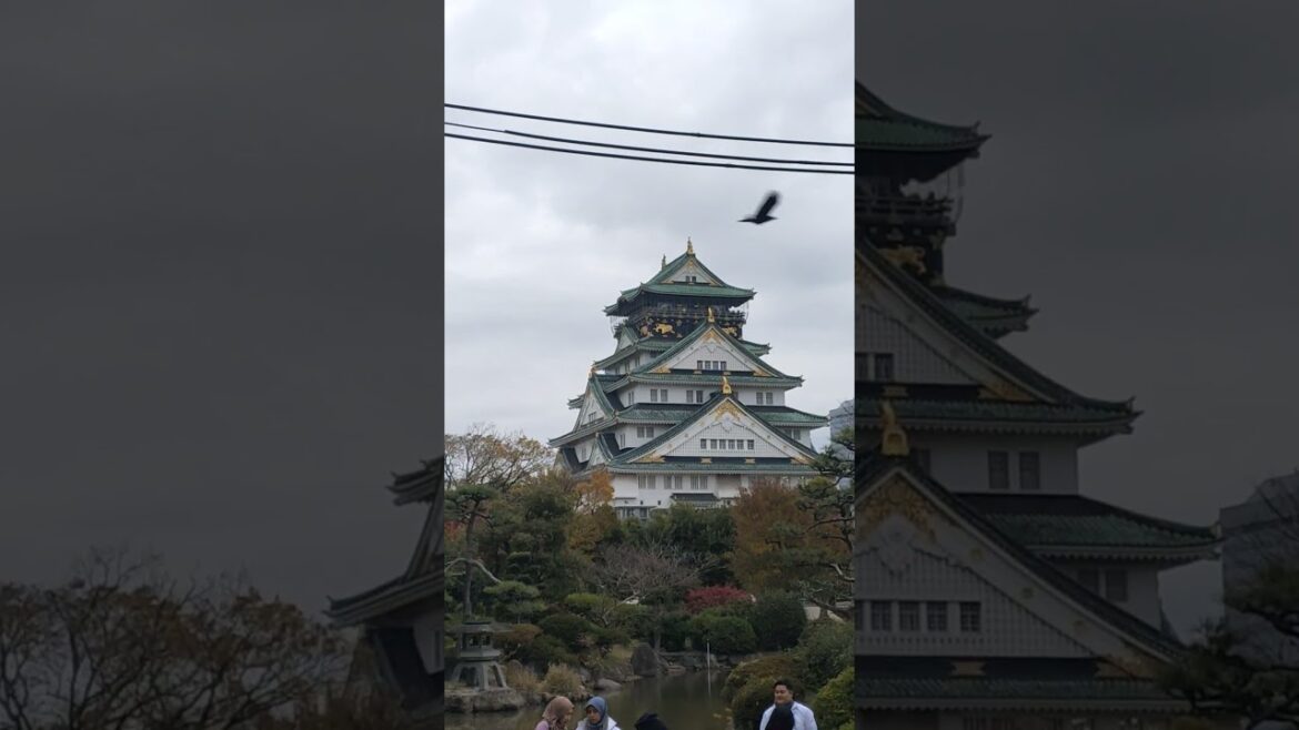The OSAKA Castle, Castle of Japan Emperor, #foryou #travel #food #satisfying #japan #sushi #rider The OSAKA Castle, Castle of Japan Emperor, #foryou #travel #food #satisfying #japan #sushi #rider
