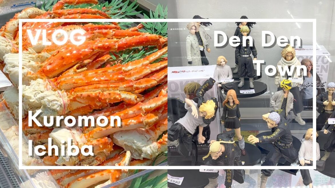 Kuromon Ichiba Den Den Town Osaka, day in my life in Japan vlog