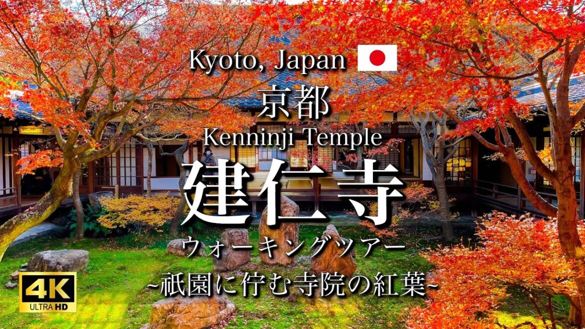 Autumn Leaves at Kenninji Temple in Kyoto, Japan | Beautiful Temples in the Gion District [4K]