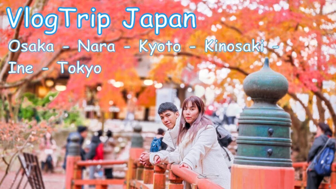 Arm’s Life Trip Japan 2023 : Osaka – Nara – Kyoto – Kinosaki – Ine – Tokyo Arm's Life Trip Japan 2023 : Osaka - Nara - Kyoto - Kinosaki - Ine - Tokyo