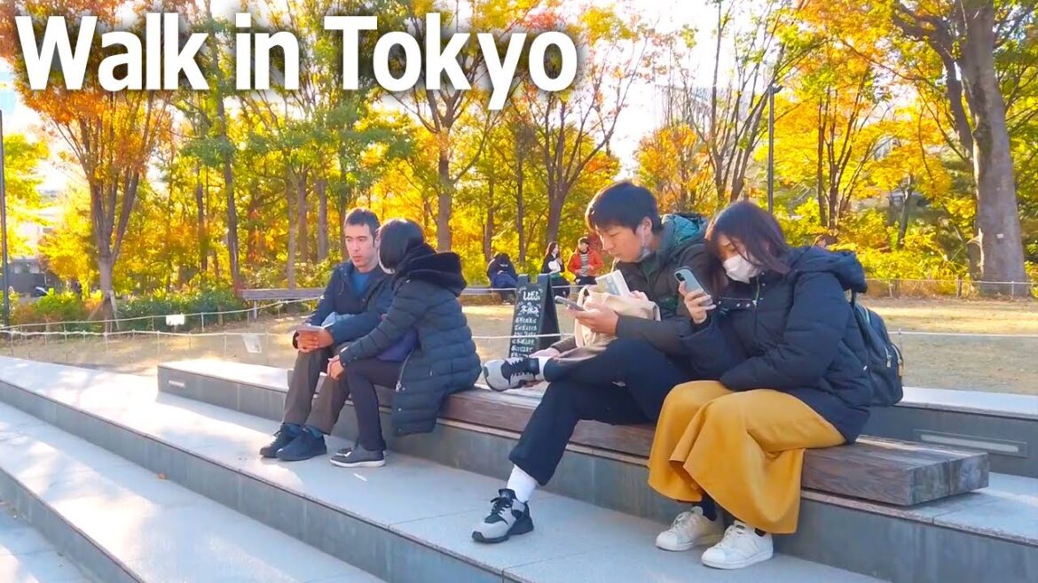 Tokyo walking tour – Aoyama Area. Nature in the heart of the city♪ (Dec. 2023) Tokyo walking tour - Aoyama Area. Nature in the heart of the city♪ (Dec. 2023)