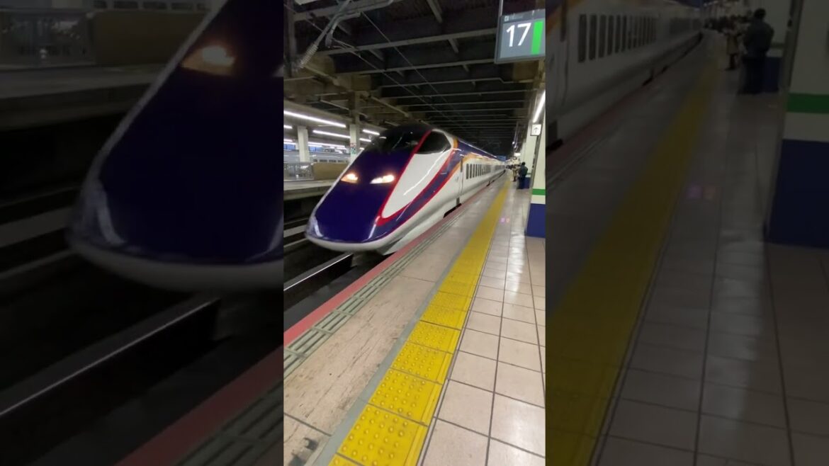 #shinkansen #bullettrains #japan #travel #nipponwandering #train #omiya #utsunomiya #subway