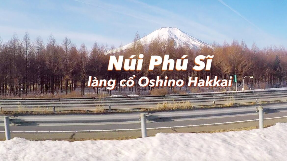 Núi Phú Sĩ và làng cổ Oshino Hakkai ở Nhật Bản | ZaiTri