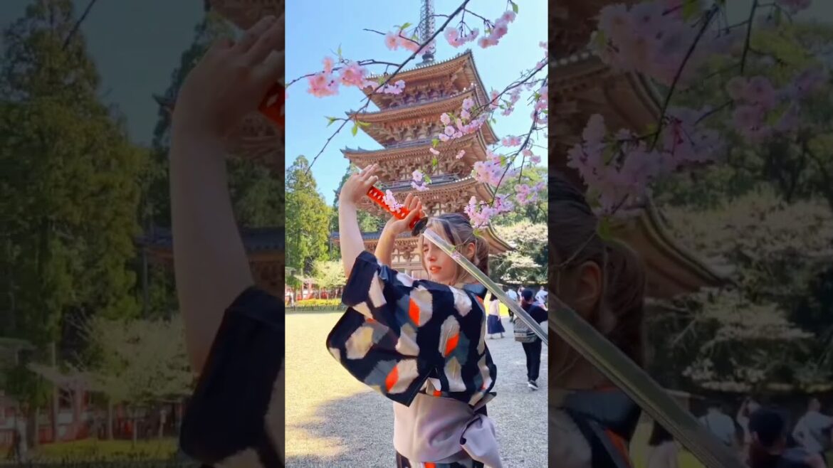 Captivating Kyoto | Japan 🇯🇵⛩️