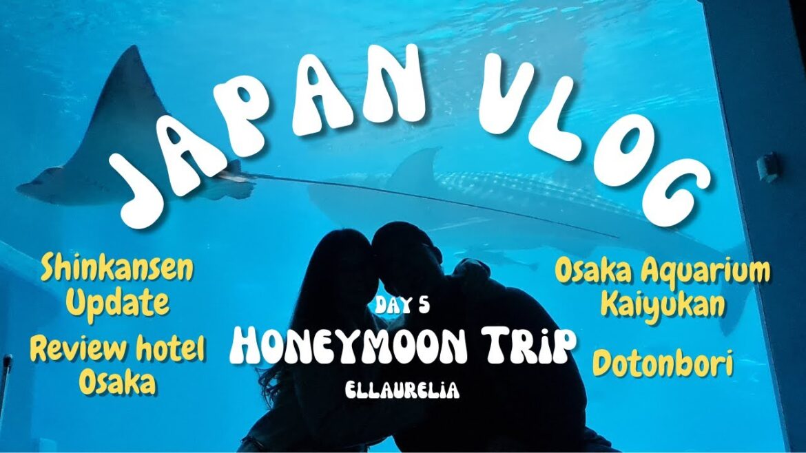 DAY 5 – JAPAN JANUARY 2023 | SHINKANSEN UPDATE, OSAKA AQUARIUM KAIYUKAN, DOTONBORI, HOTEL REVIEW DAY 5 - JAPAN JANUARY 2023 | SHINKANSEN UPDATE, OSAKA AQUARIUM KAIYUKAN, DOTONBORI, HOTEL REVIEW