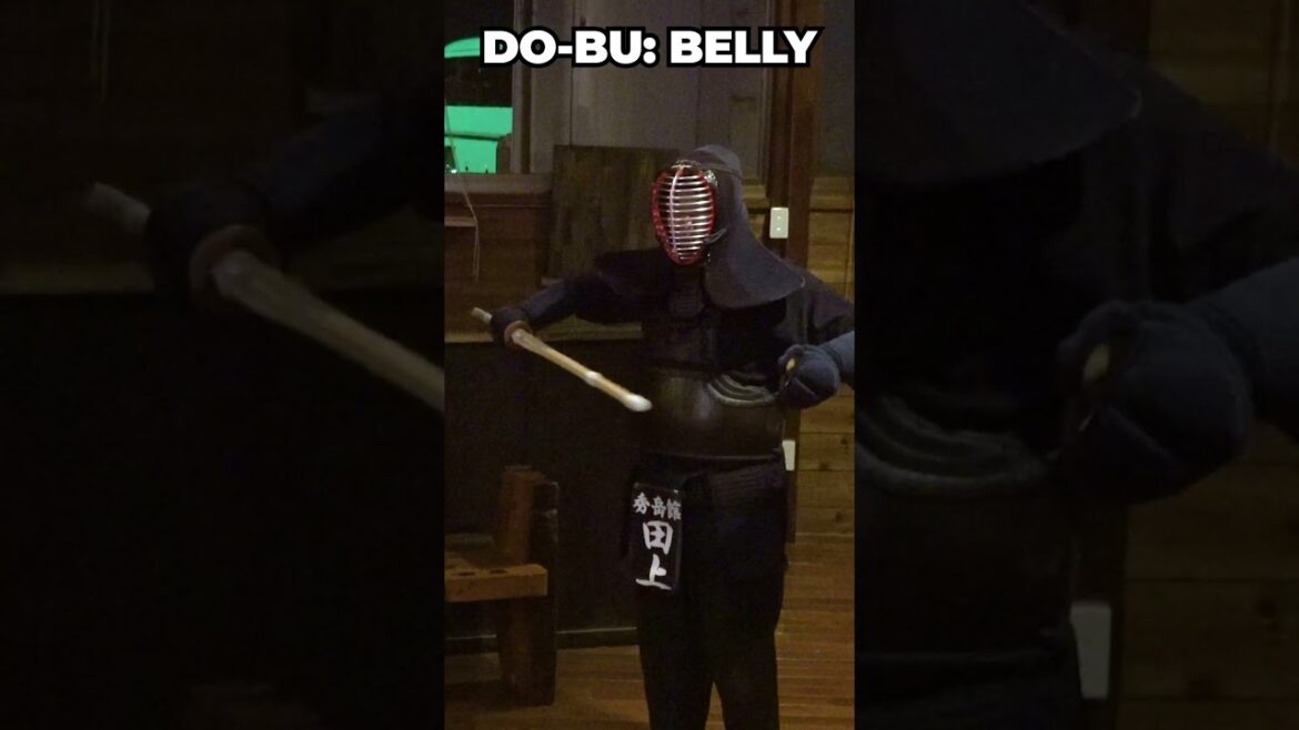 The BASICS of KENDO #japan #japantravel #kendo #samurai #japanese #basics #swordfighting The BASICS of KENDO #japan #japantravel #kendo #samurai #japanese #basics #swordfighting