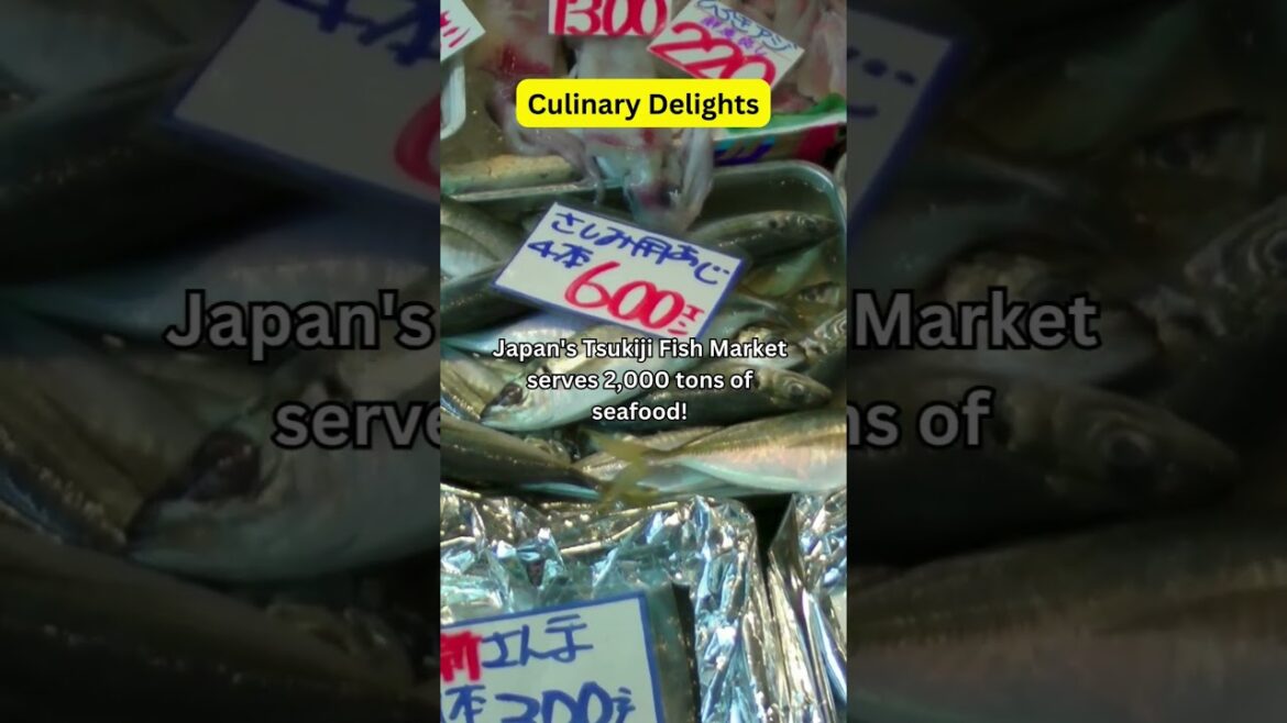 Tsukiji Fish Market Japan #shorts #travelinspiration #travel Tsukiji Fish Market Japan #shorts #travelinspiration #travel
