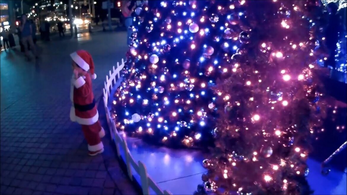 クリスマス・イブの夜／沖縄2019  イルミネーション , ライブイベント