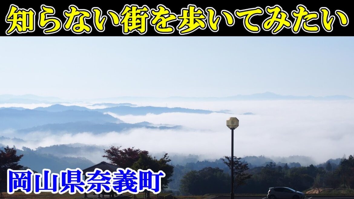 那岐山の山の駅と古刹を歩く～Japan travel【日本まち歩き】No.908岡山県奈義町