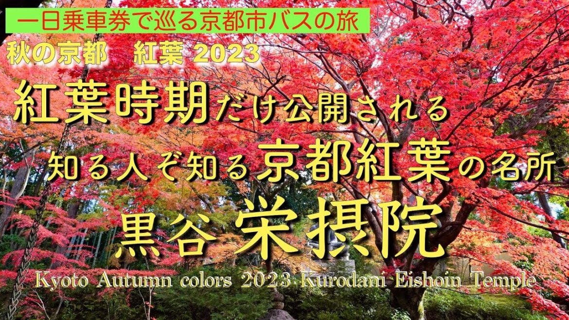 秋の京都　紅葉巡り2023 第３回 栄摂院