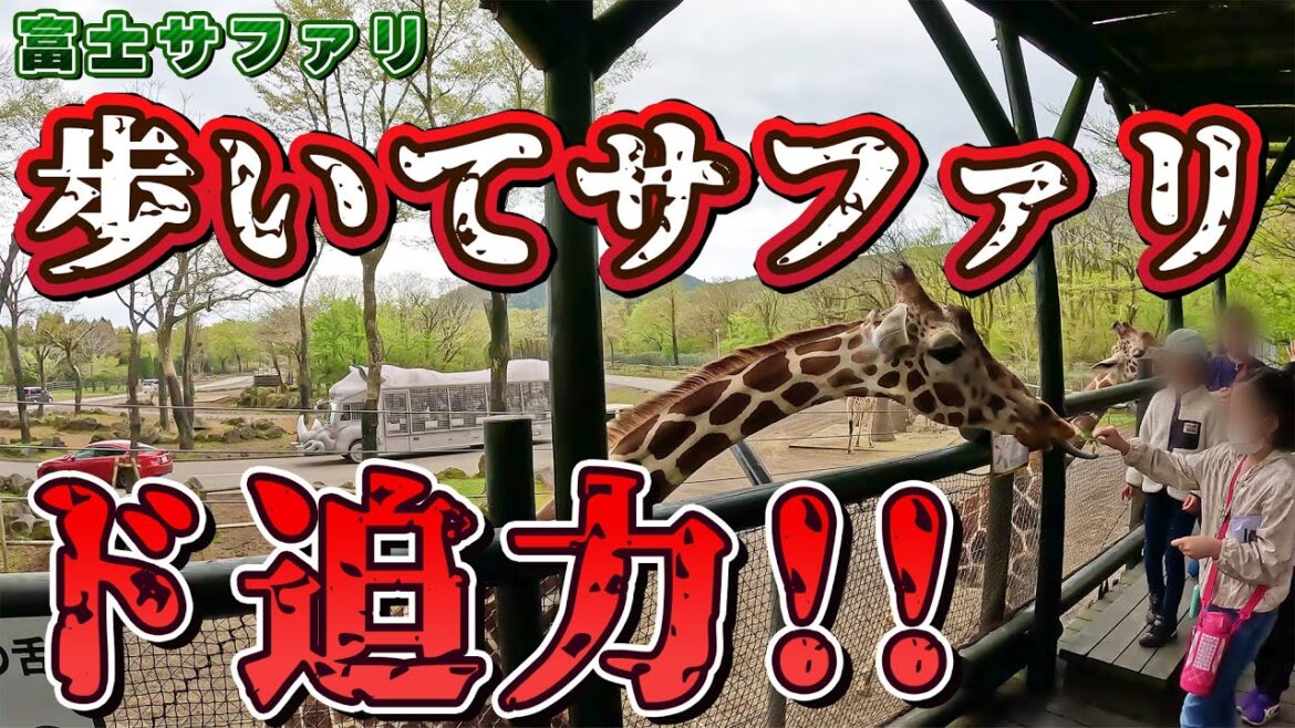 【車でサファリを超えた!!】富士サファリパーク ウォーキングサファリ 【車でサファリを超えた!!】富士サファリパーク ウォーキングサファリ