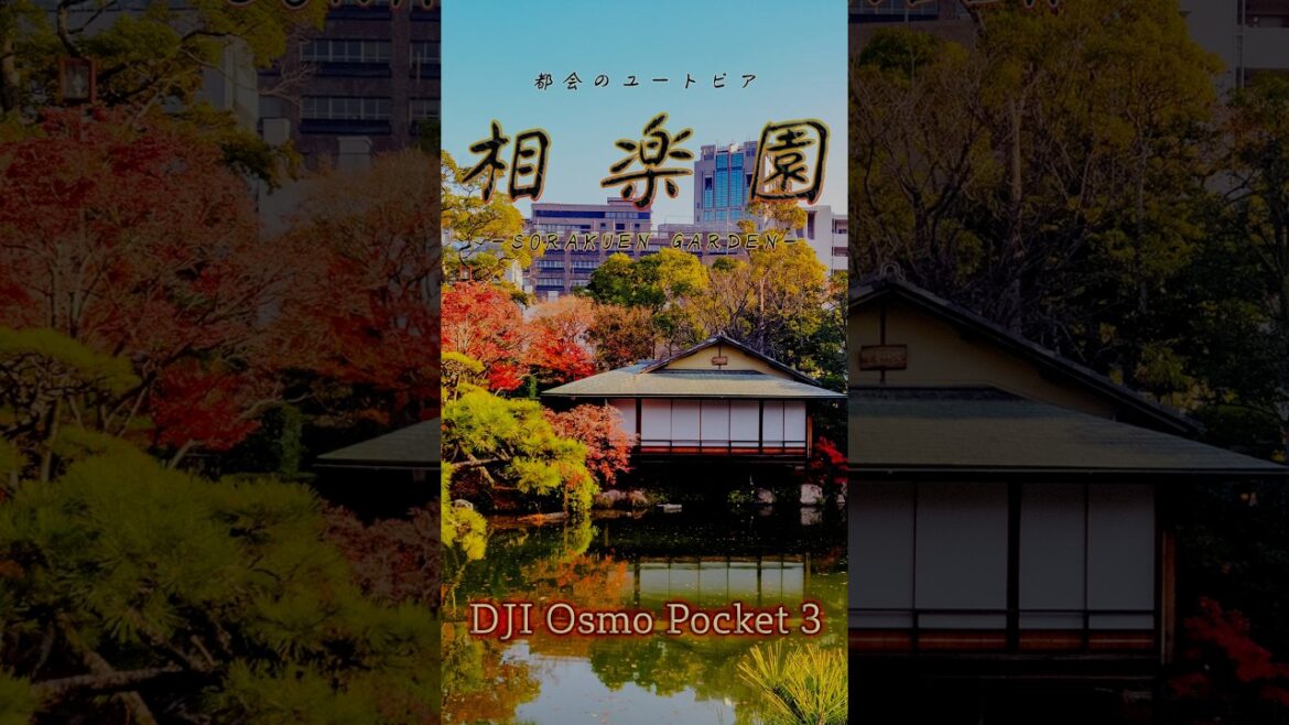 SORAKUEN GARDEN -相楽園- ダイジェスト版 #osmopocket3