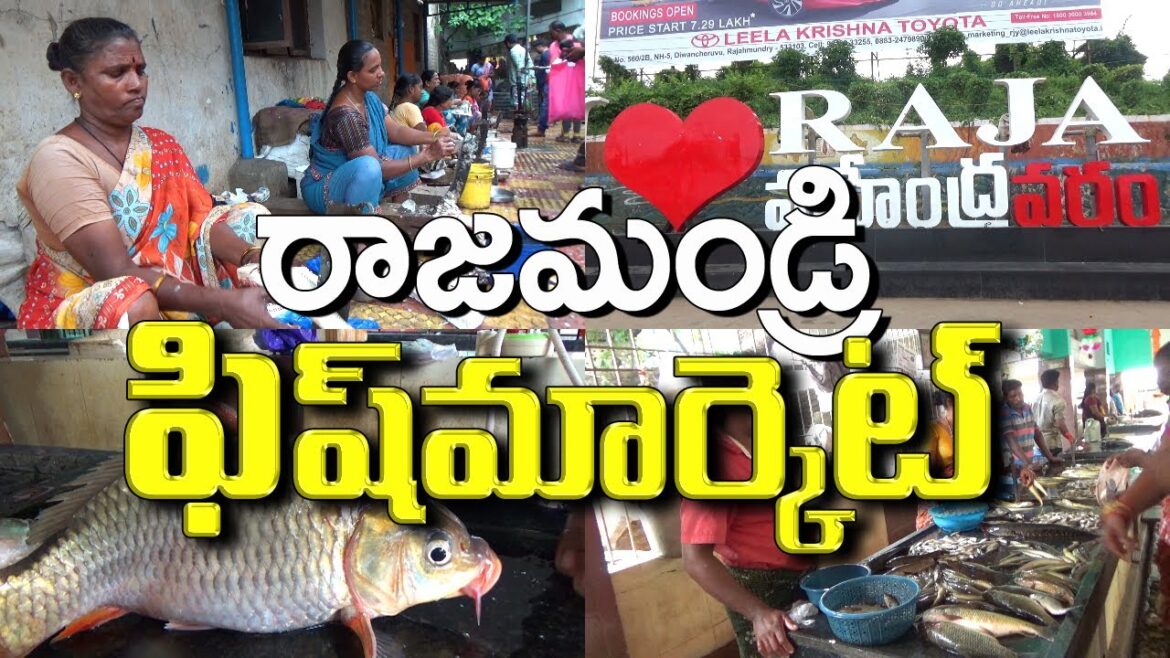 రాజమండ్రి చేపలమార్కెట్ - Fish Market - Rajamundry