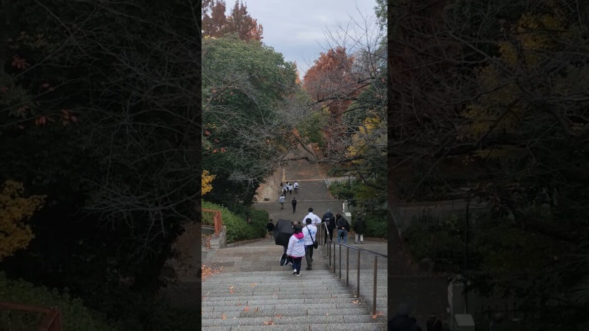 ស្រស់ស្អាតពេកហើយ សួនស្លឹកឈើ, Autumn in Osaka, Japan #foryou #food #travel #streetfood #satisfying