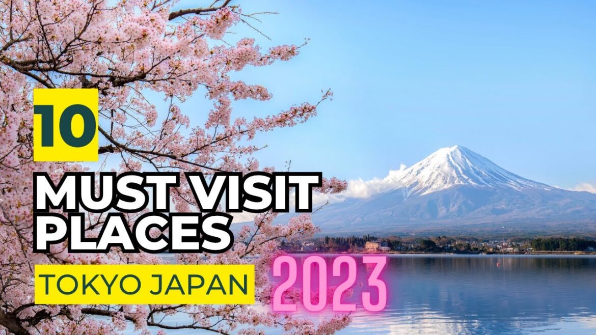 Tokyo Japan Travel Guide 2024 -  10 Spectacular Locations to Experience