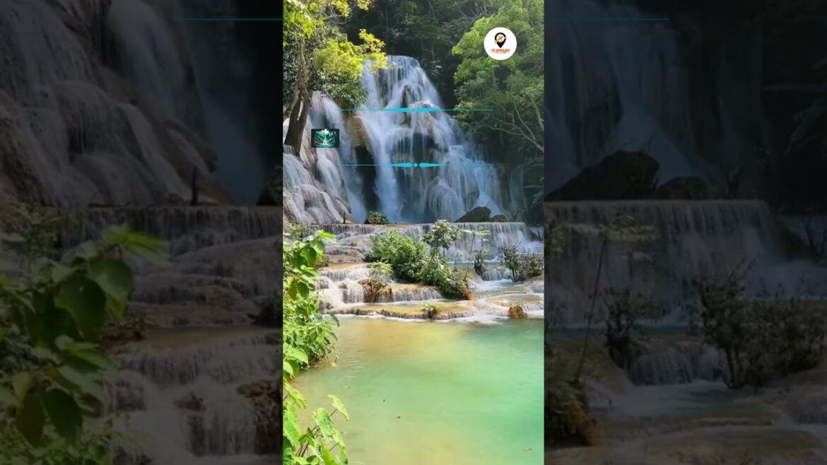 Kuang Si Waterfall | The Nomad Way #shorts #travel #asiatravel Kuang Si Waterfall | The Nomad Way #shorts #travel #asiatravel