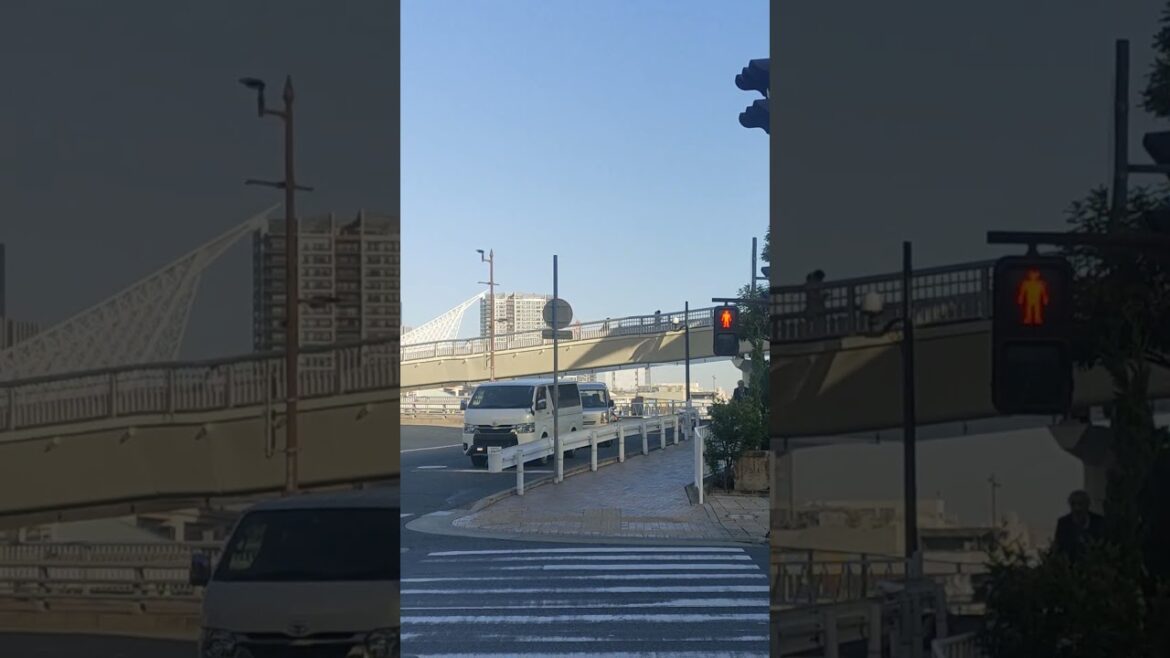 Kobe Tower, the best view sea side, Japan #foryou #food #travel #satisfying #streetfood # #sushi