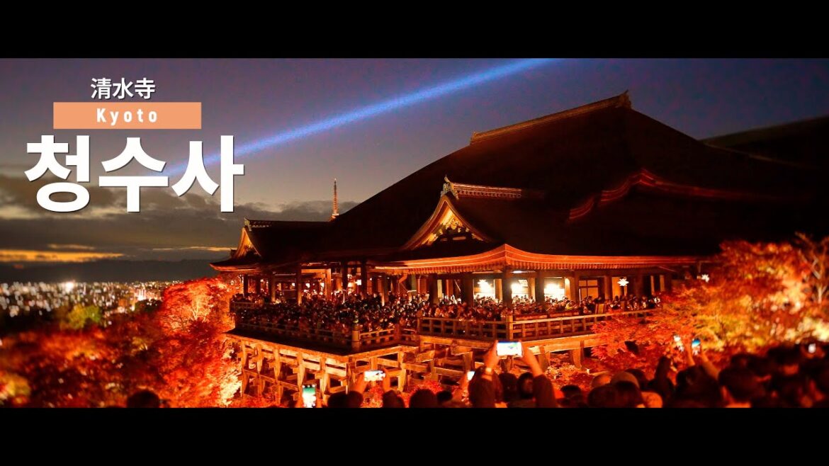 교토 ㅣ 청수사 야간투어 ㅣ kiyomizudera Night tour ㅣ 清水寺 ㅣ Kyoto