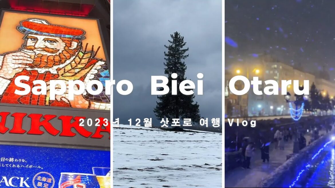 2023 12월 삿포로 비에이 오타루 3박4일 여행 브이로그(feat.먹칭구들)_비바람눈의 겨울 삿포로 여행(ENG sub)