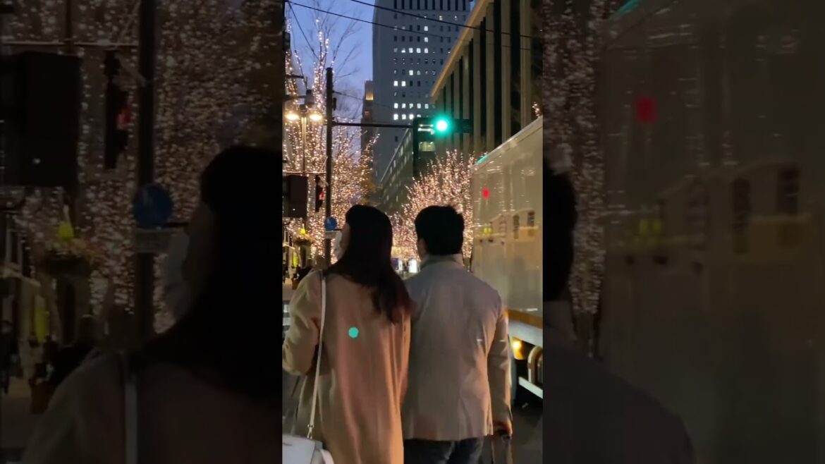 Travel Video – 8 Best Places To Take Pictures In Tokyo | Tokyo Travel (Part 14) #travel #tokyo Travel Video - 8 Best Places To Take Pictures In Tokyo | Tokyo Travel (Part 14) #travel #tokyo