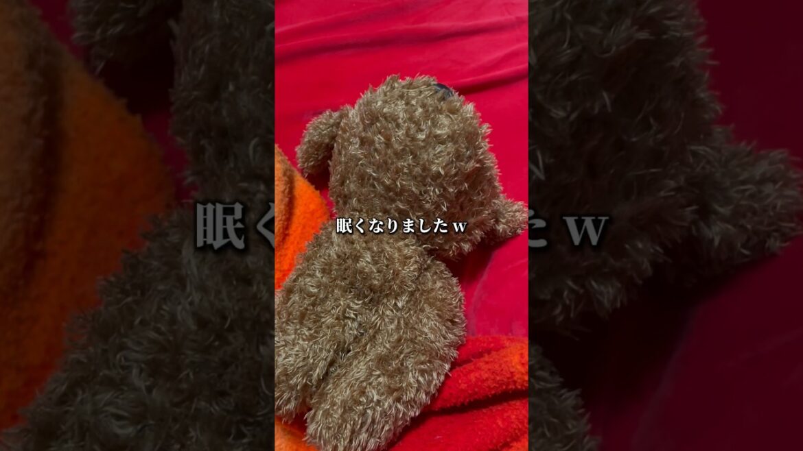 ウチカフェスイーツ新作続々「どれを食べるか迷ってたら」急に眠くなった日 #vlog #shorts #newmoon