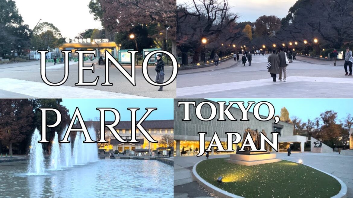 UENO PARK #uenoPark #uenoZoo #ueno #tokyo #japan #TaraAnythingGoes UENO PARK #uenoPark #uenoZoo #ueno #tokyo #japan #TaraAnythingGoes