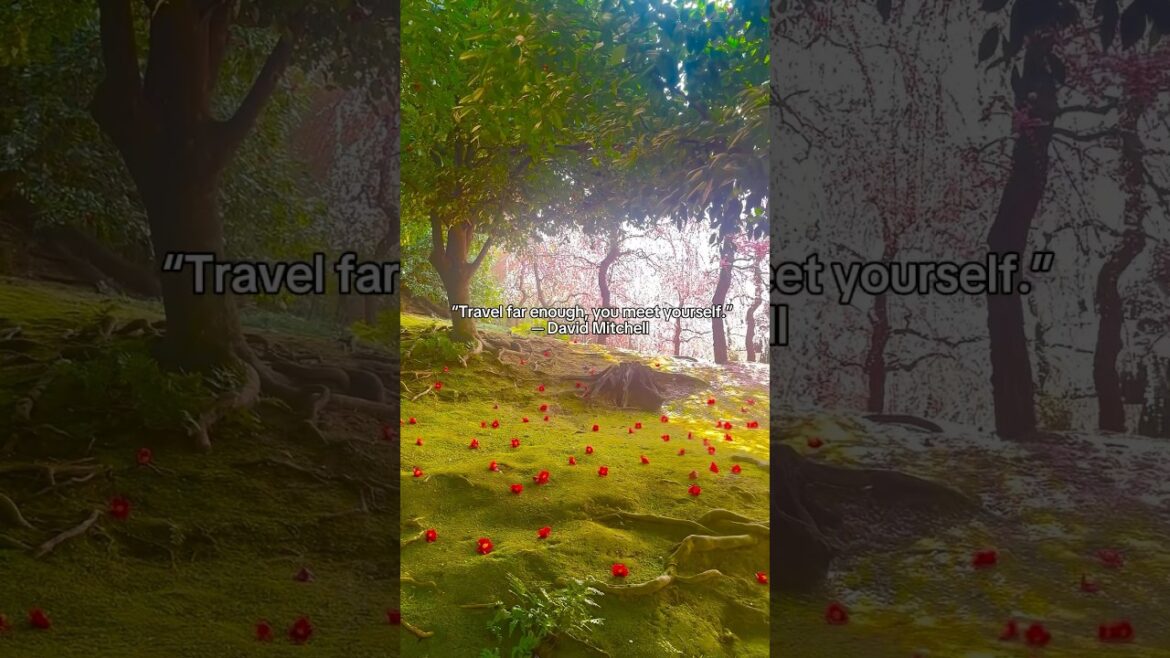 I’ve found my happy place. 🇯🇵 I've found my happy place. 🇯🇵