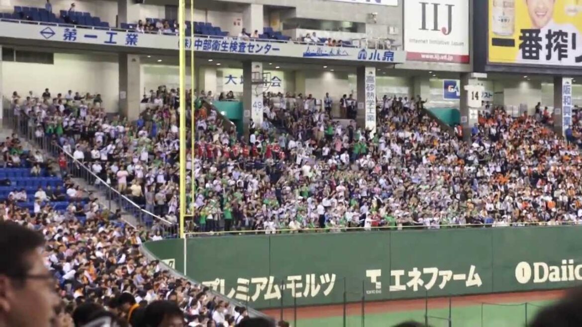 Crazy Japan Baseball Fans