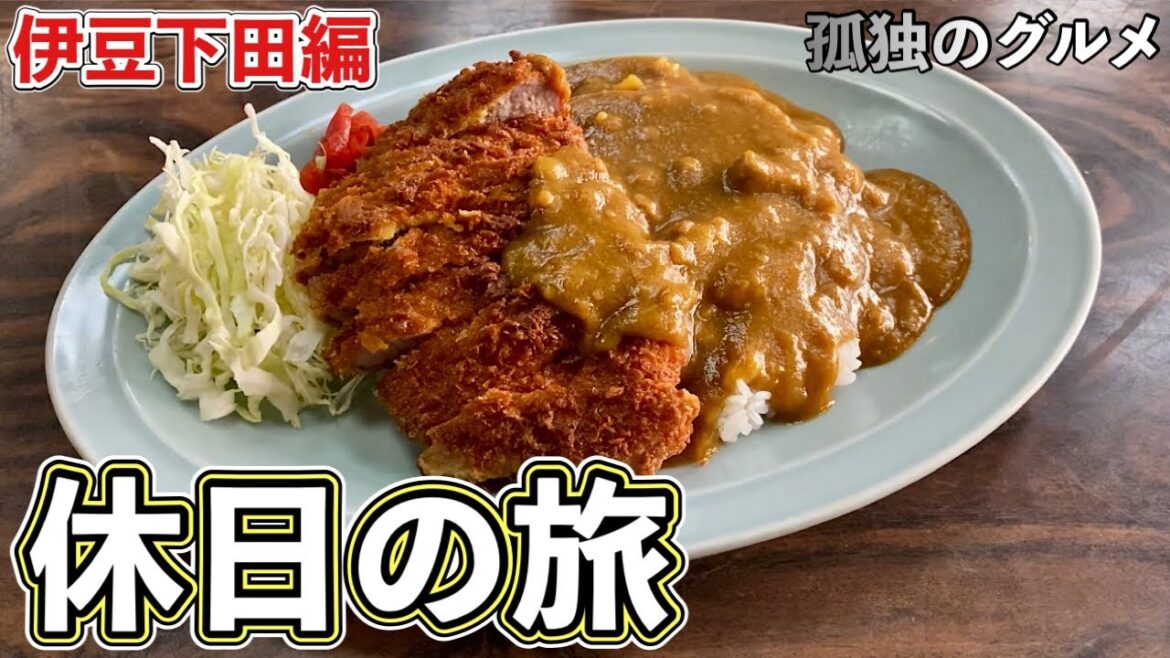 おやじ食い倒れルーティン『孤独のグルメ旅』カツカレー静岡県伊豆下田編【飯テロ】Curry