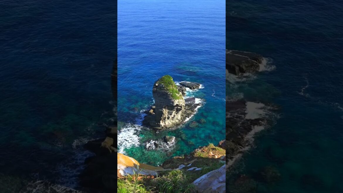 【本当は教えたくない】沖縄・与那国島の絶景が人生最高すぎた #与那国島#Jal#JTA#RAC 【本当は教えたくない】沖縄・与那国島の絶景が人生最高すぎた #与那国島#Jal#JTA#RAC