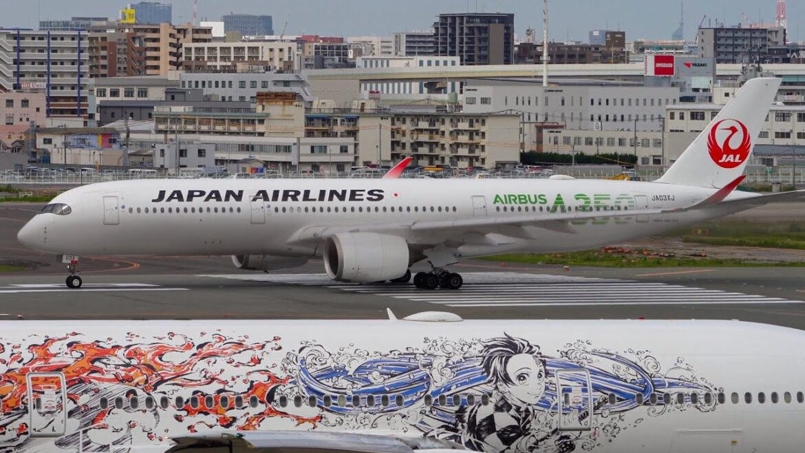 Airbus A350-900 A350 Livery | Japan Airlines