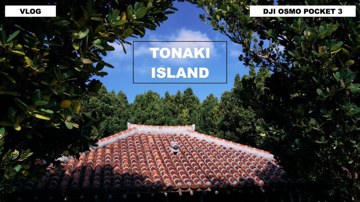【VLOG】渡名喜島|憧れの島へ【DJI Osmo Pocket 3】 【VLOG】渡名喜島|憧れの島へ【DJI Osmo Pocket 3】