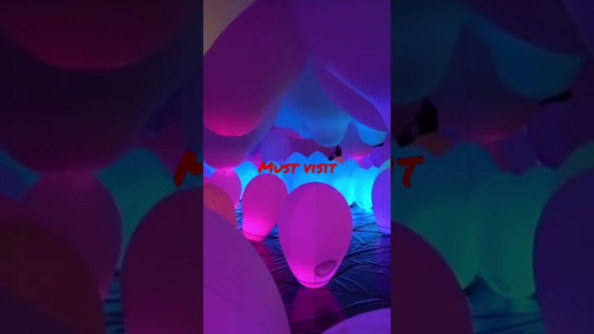 Things to do in Tokyo! Digital museum #viral #shorts