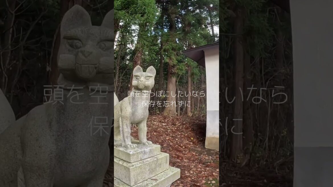静かに、今も見守っている|青森 高照神社|takaterujinja aomori Japan 静かに、今も見守っている|青森 高照神社|takaterujinja aomori Japan