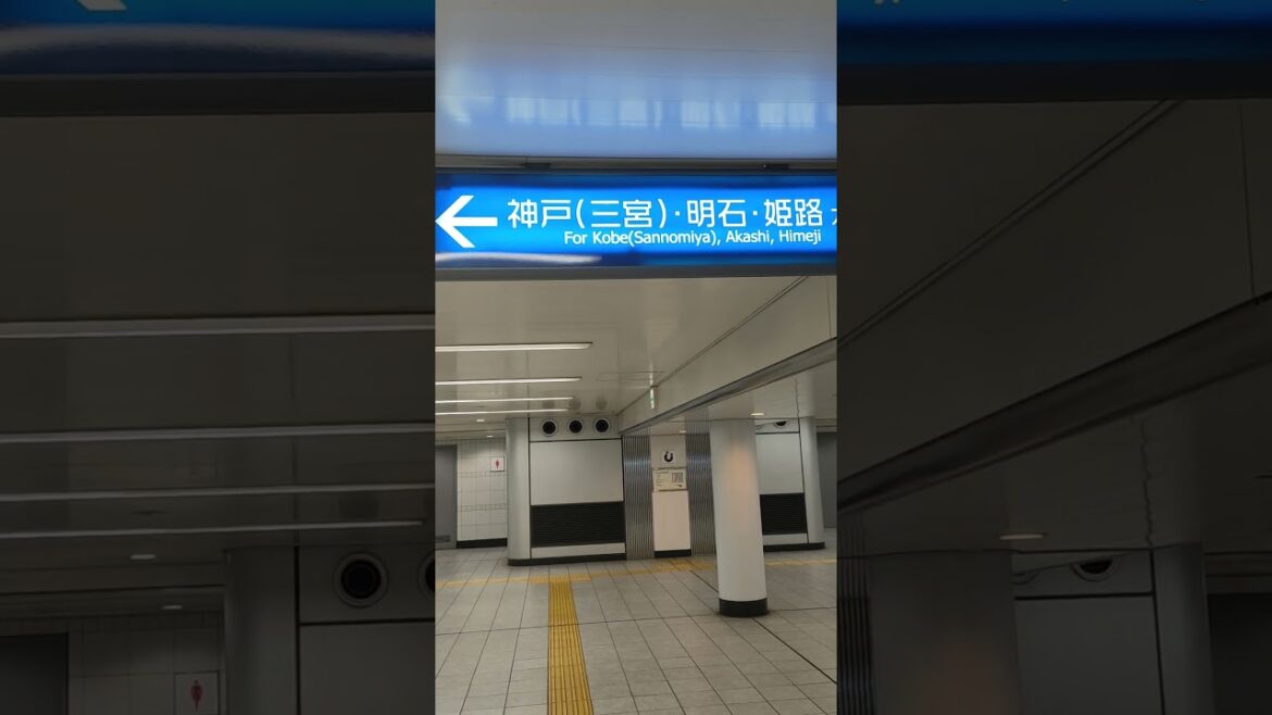 Train to Sanomiya Kobe #foryou #food #asiantravel #automobile #japan  #sushi #travel #satisfying