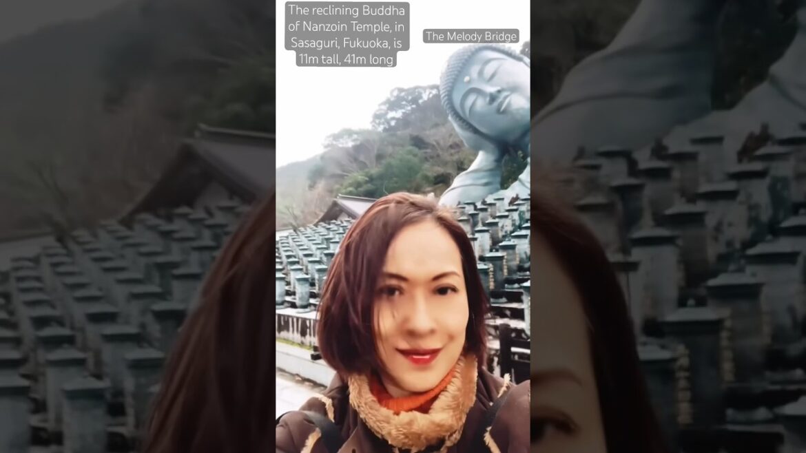 the reclining Buddha of Nanzoin Temple,Fukuoka