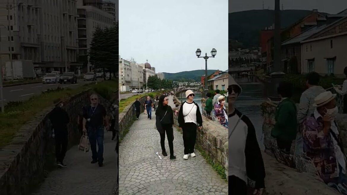 O famoso Canal de Otaru no Japão. #otaru #japan #viagem #japão #turismo #travel #oriental #atrações
