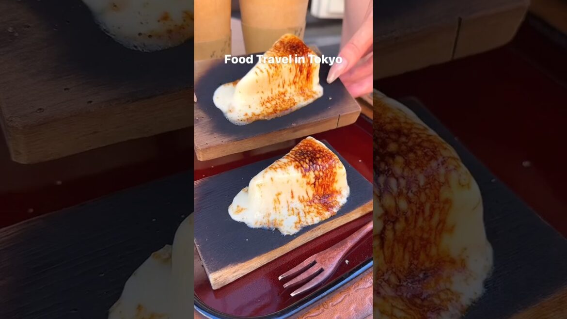 Grilled Cheese Cake||TokyoJapan