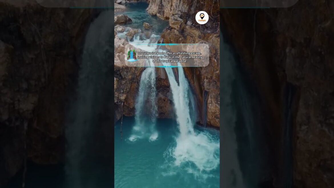 Kawasan Falls in Cebu, Philippines | The Nomad Way #shorts #philippines