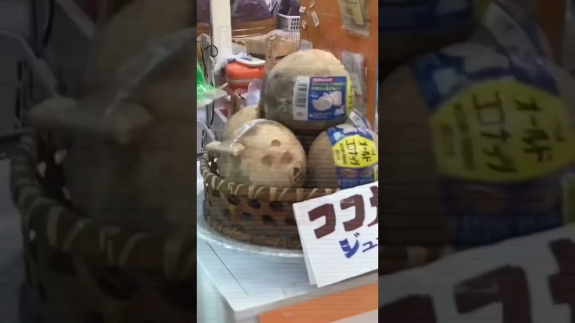 ショート18 戦後発展した那覇の中心市街地を巡る。(Tour the central city area of ​​Naha, which developed after the war.)