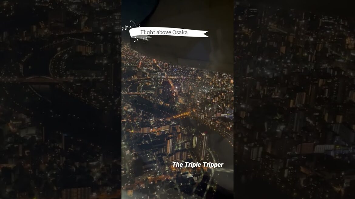 "Flight above Osaka"  Japan Trip-Log #shorts 8