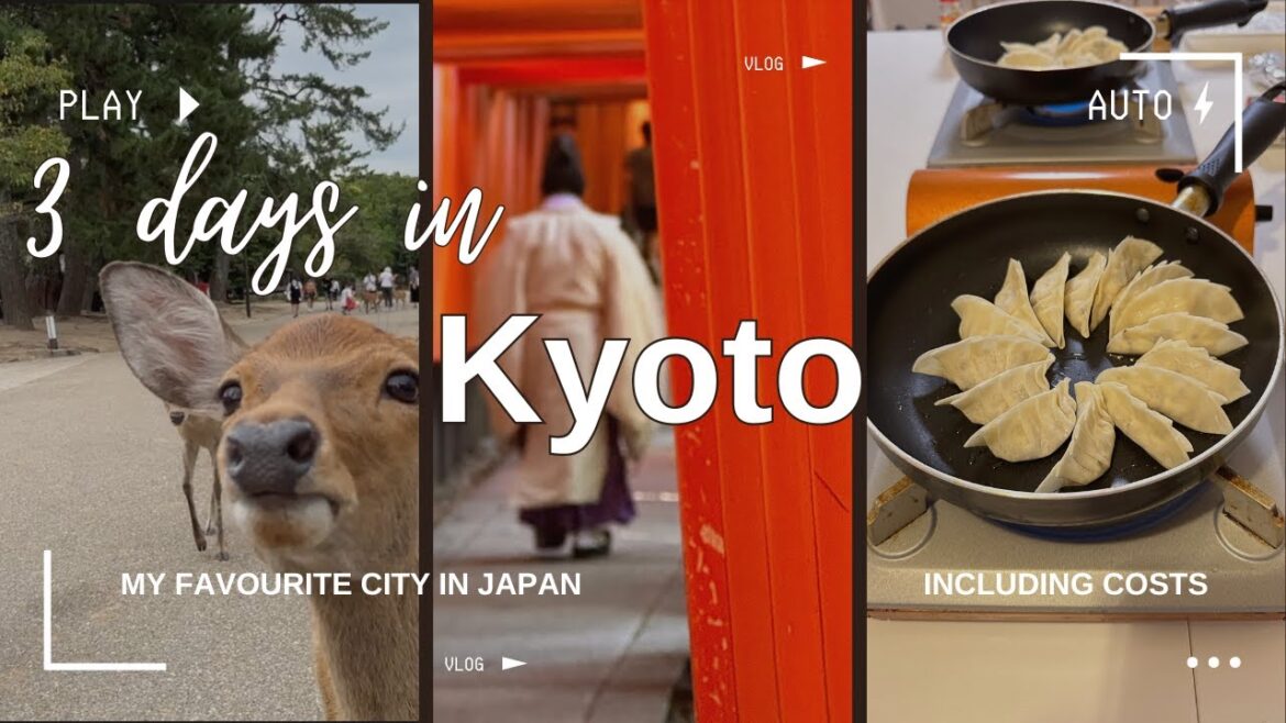 3 day Kyoto itinerary inc: Thousands Torii gates, feeding deer in Nara & Bamboo Forest 3 day Kyoto itinerary inc: Thousands Torii gates, feeding deer in Nara & Bamboo Forest