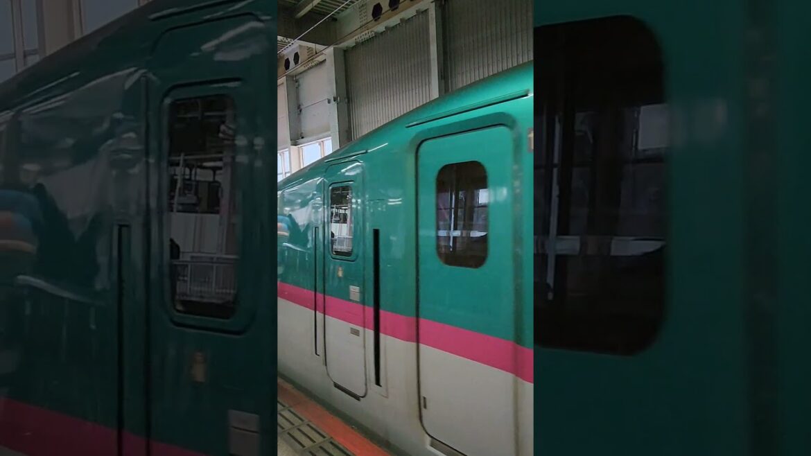 Hayabusa - Komachi Bullet train to Tokyo