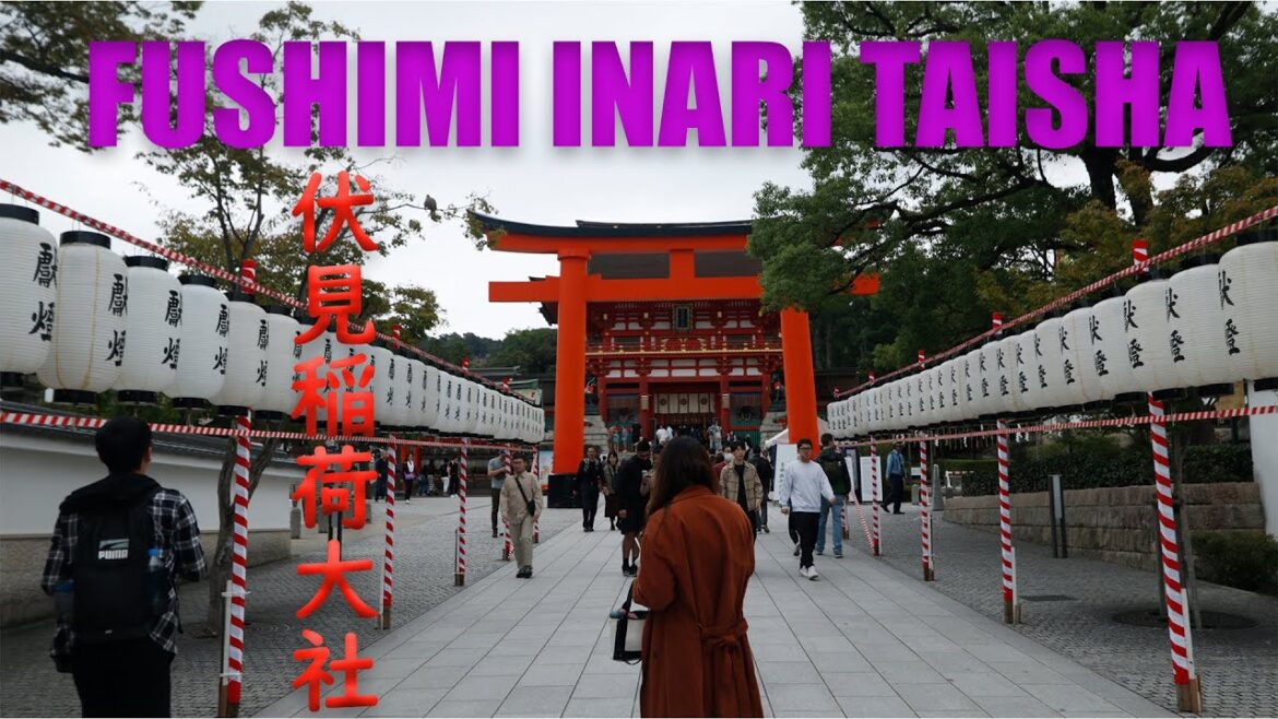 Walking down to the Ultimate Torii gate Fushimi Inari Taisha 伏見稲荷大社