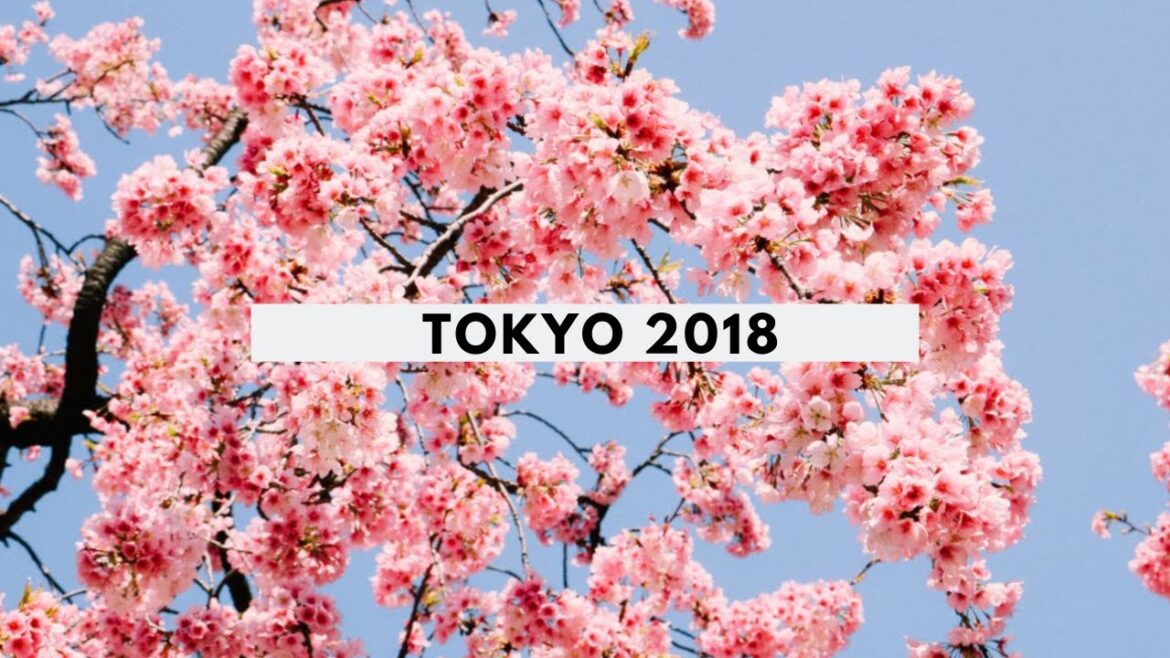 tokyo 2018 travel diary