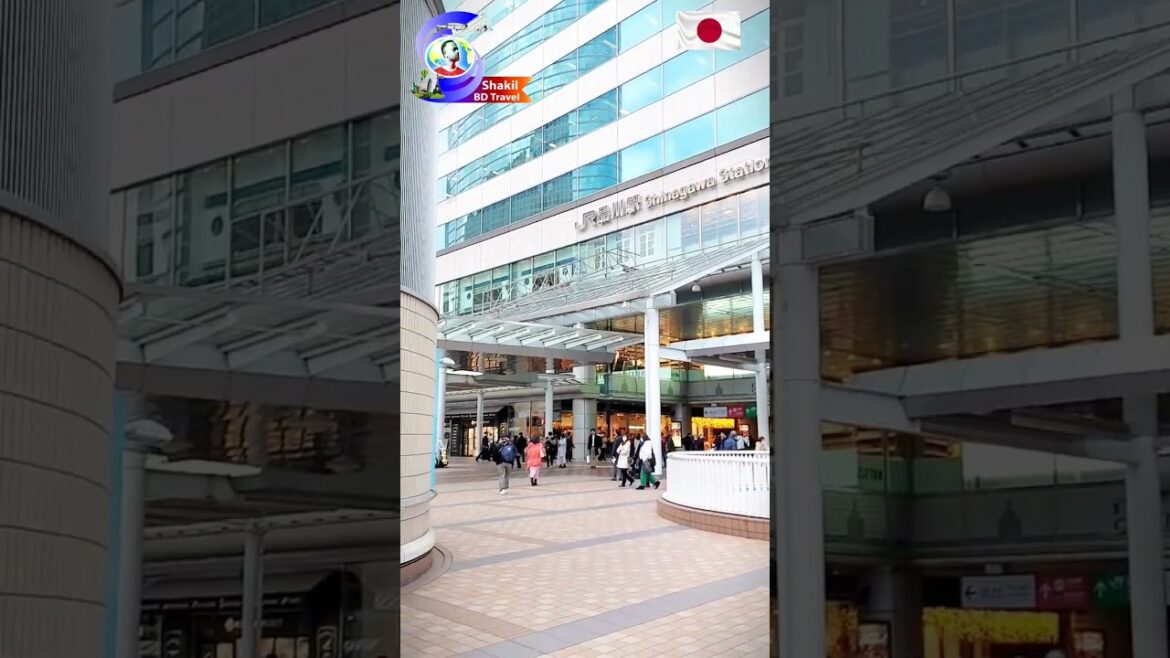 Tokyo City Japan #japan #tokyo