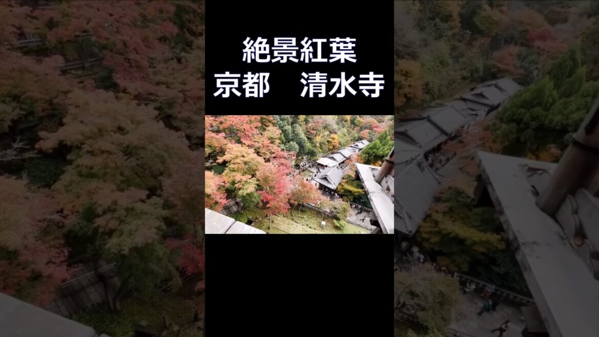#清水寺   #京都旅行 #京都のお寺 #京都観光 #京都の紅葉 #kyoto  #kyoto travel #shorts #Autumn leaves in Kyoto #asiantravel